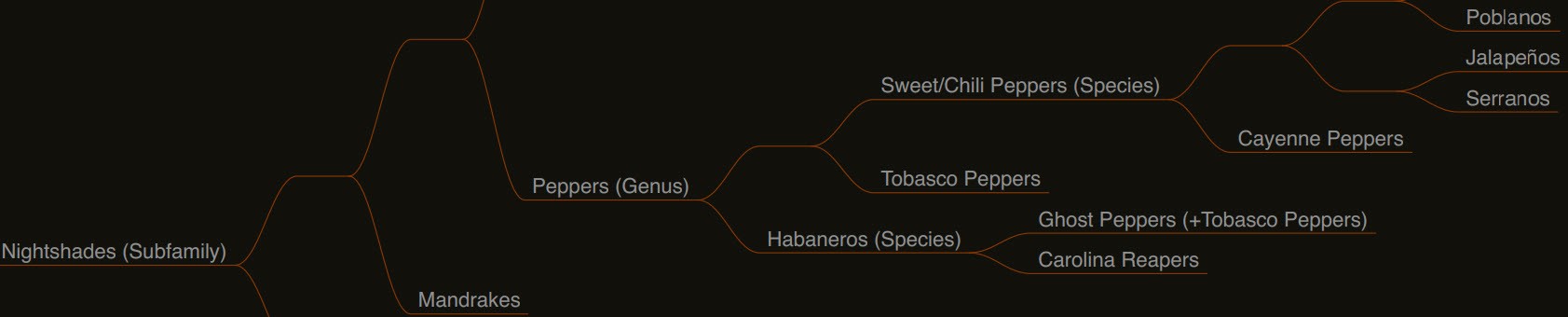 Plant Phylogeny